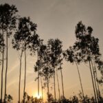 Udaynarayanpur Howrah village green fields West Bengal