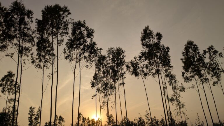 Udaynarayanpur Howrah village green fields West Bengal