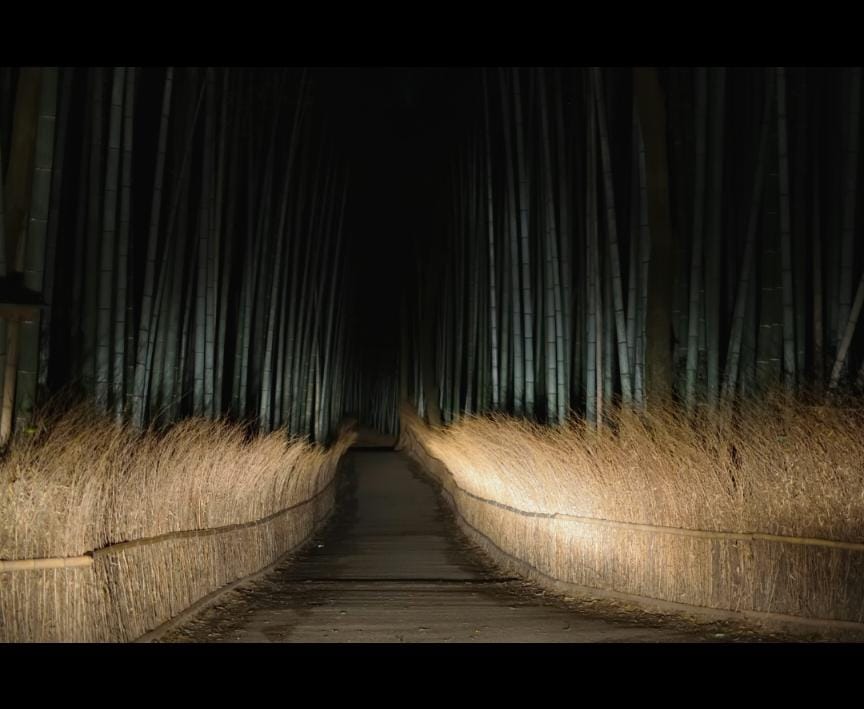 Misty village road Bengal ghost story night
