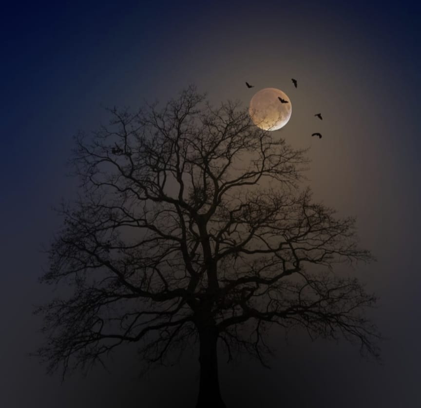 udaynarayanpur haunted banyan tree night